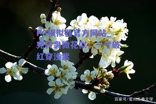 PG模拟器官方网站_宛转袅微花似，一寸破红穿浅紫
