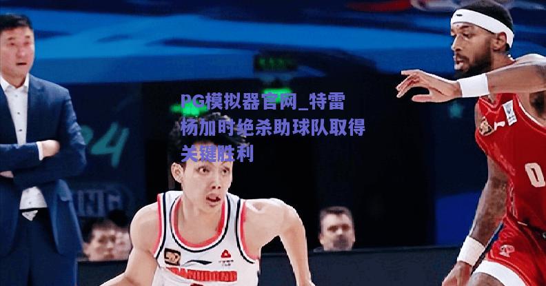 PG模拟器官网_特雷杨加时绝杀助球队取得关键胜利
